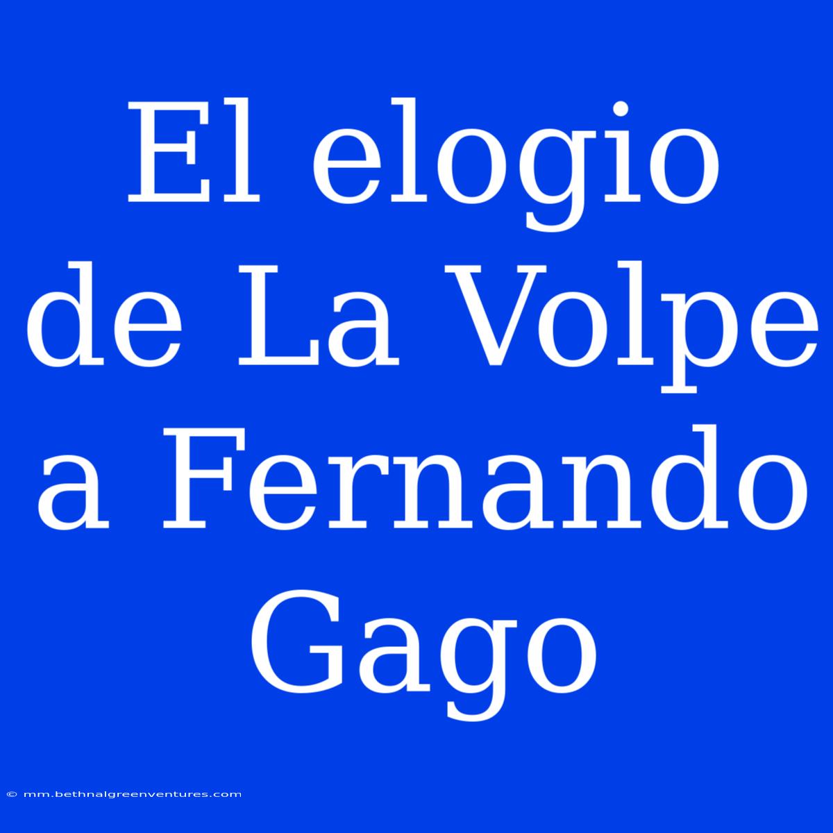 El Elogio De La Volpe A Fernando Gago