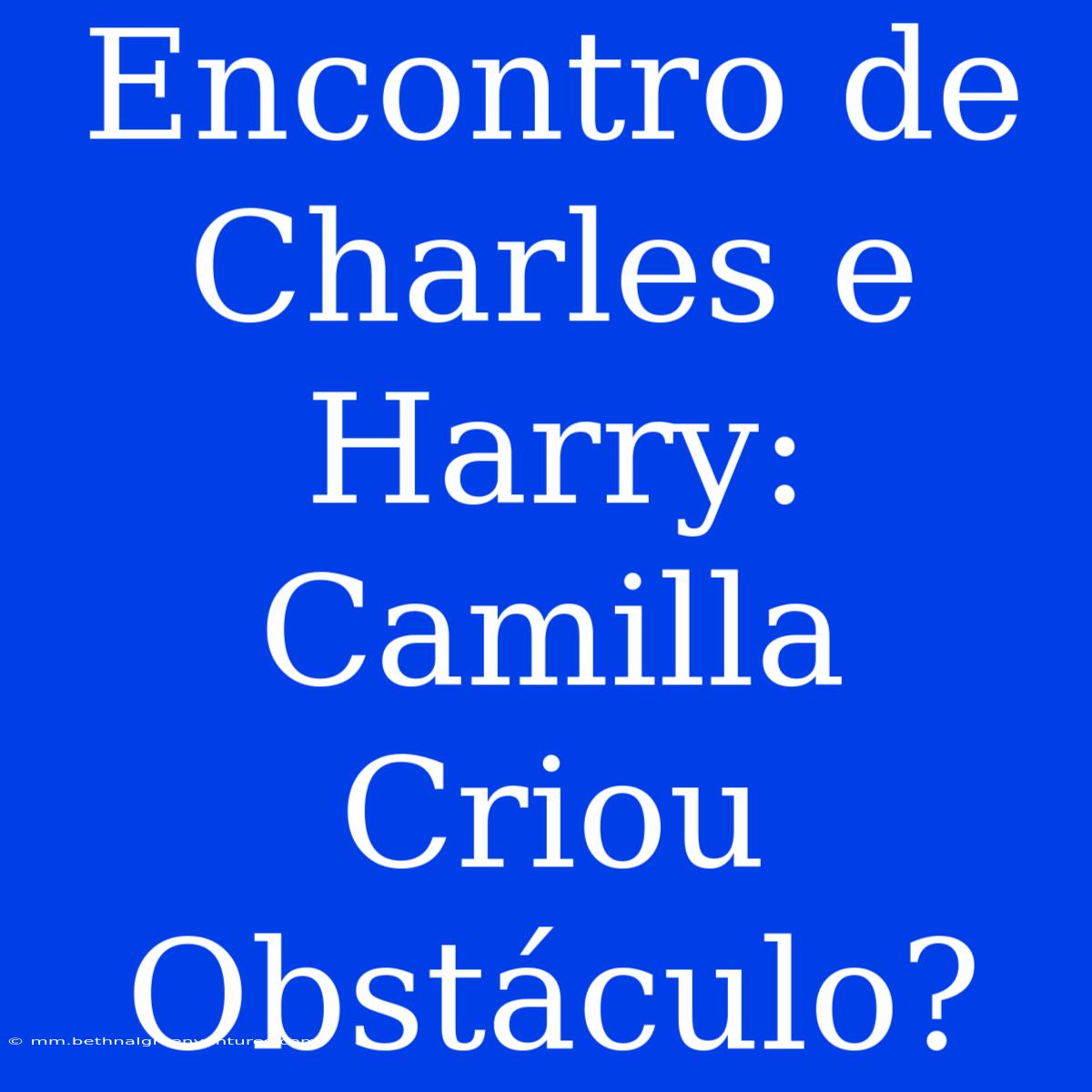 Encontro De Charles E Harry: Camilla Criou Obstáculo?