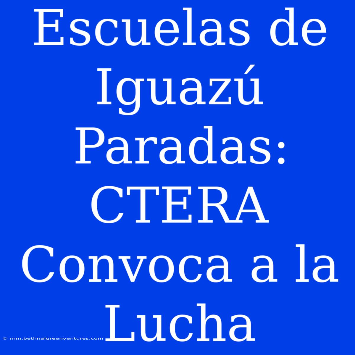 Escuelas De Iguazú Paradas: CTERA Convoca A La Lucha