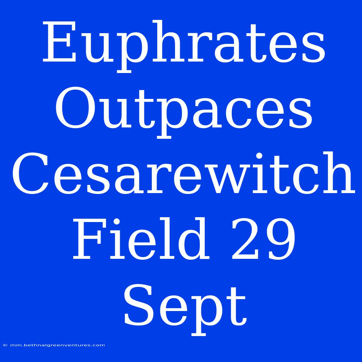 Euphrates Outpaces Cesarewitch Field 29 Sept 