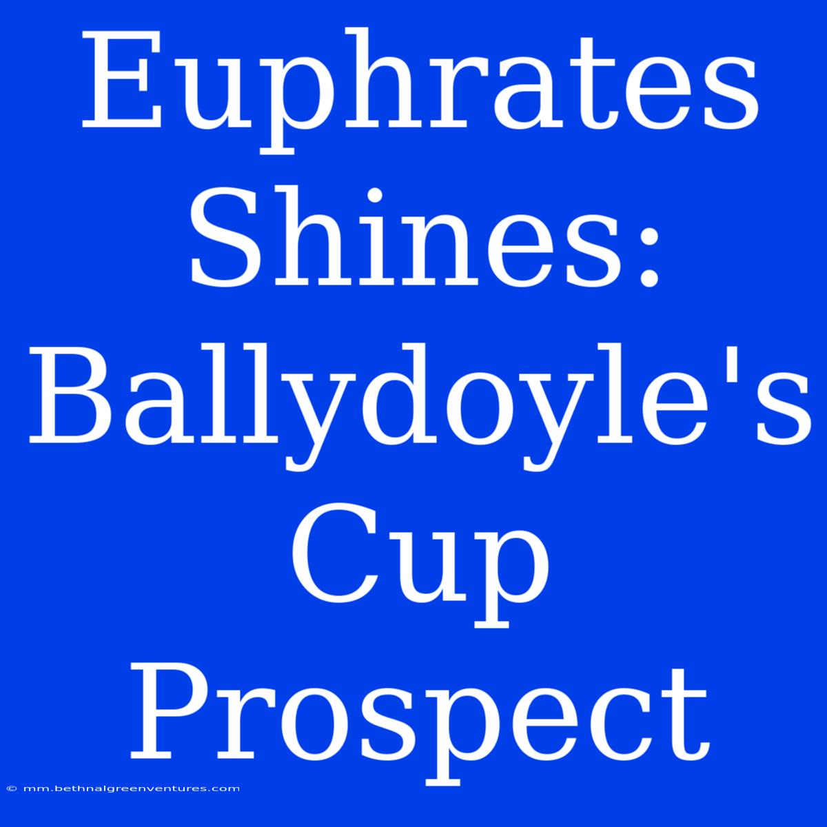 Euphrates Shines: Ballydoyle's Cup Prospect