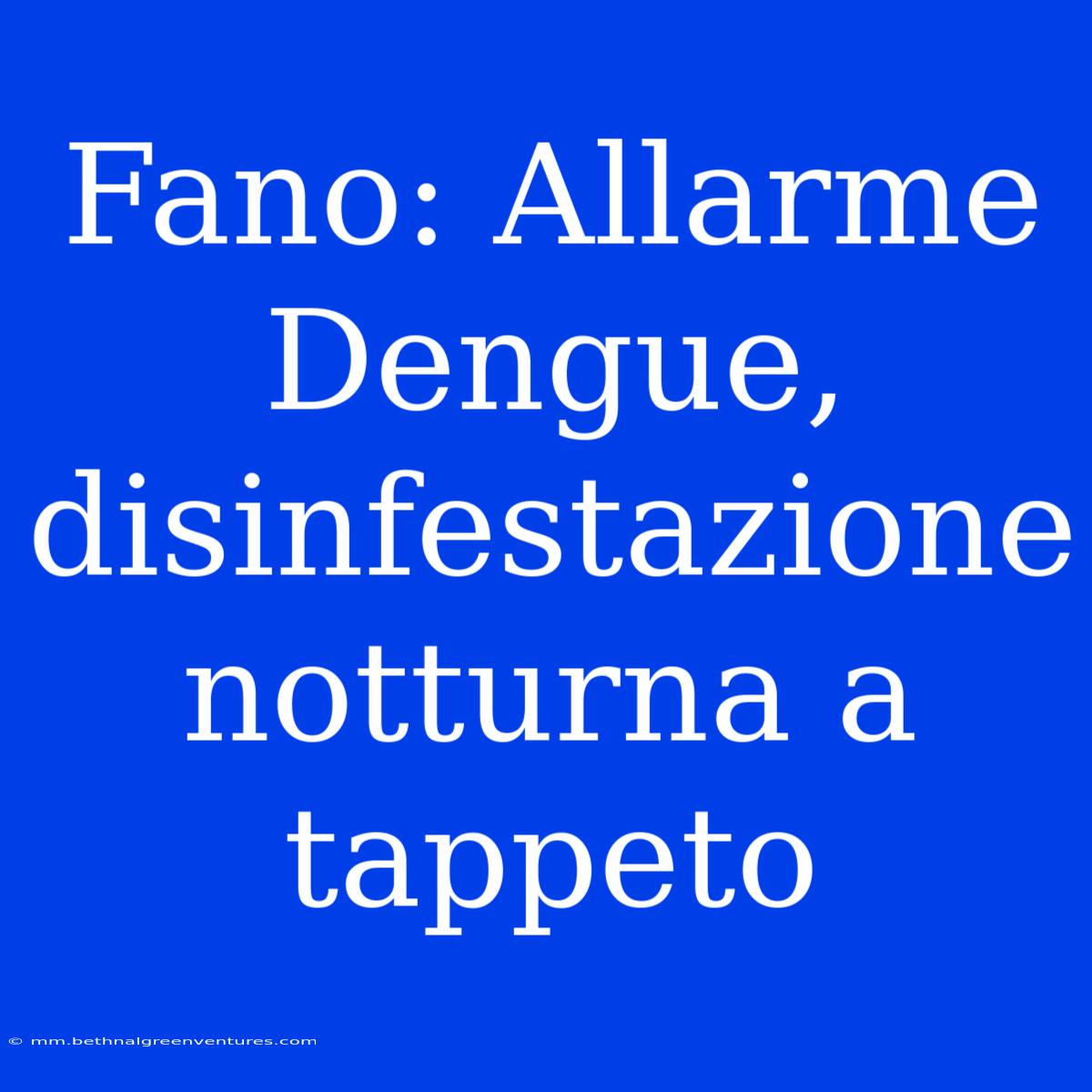 Fano: Allarme Dengue, Disinfestazione Notturna A Tappeto