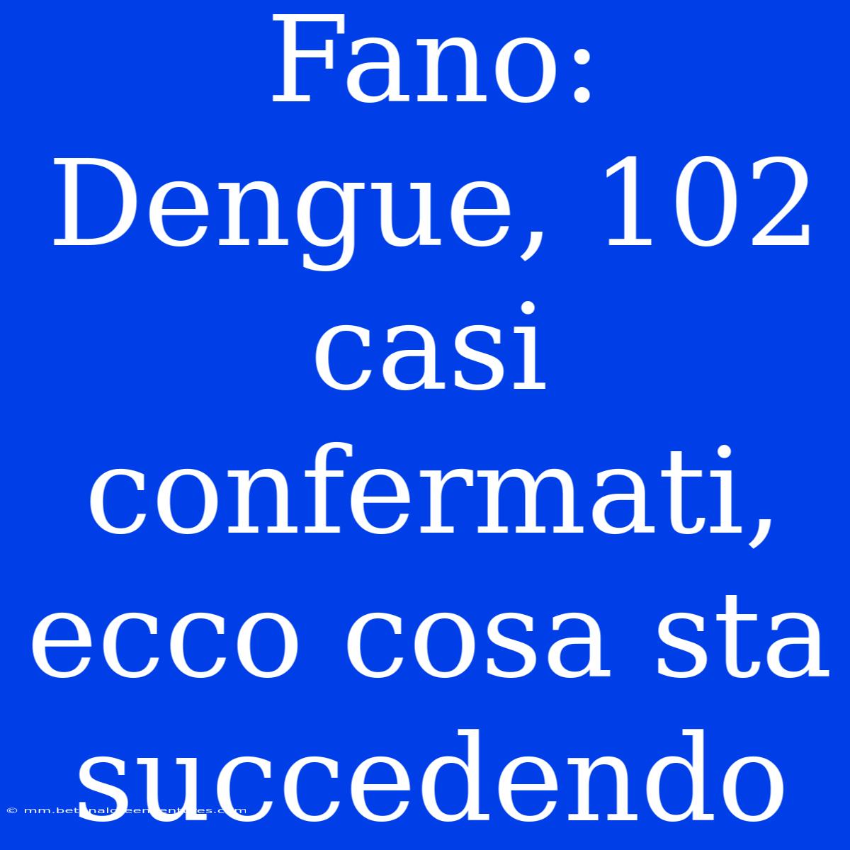 Fano: Dengue, 102 Casi Confermati, Ecco Cosa Sta Succedendo