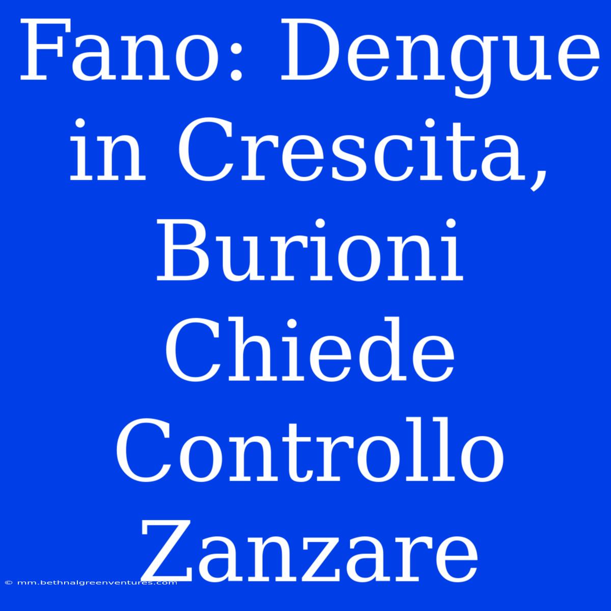 Fano: Dengue In Crescita, Burioni Chiede Controllo Zanzare