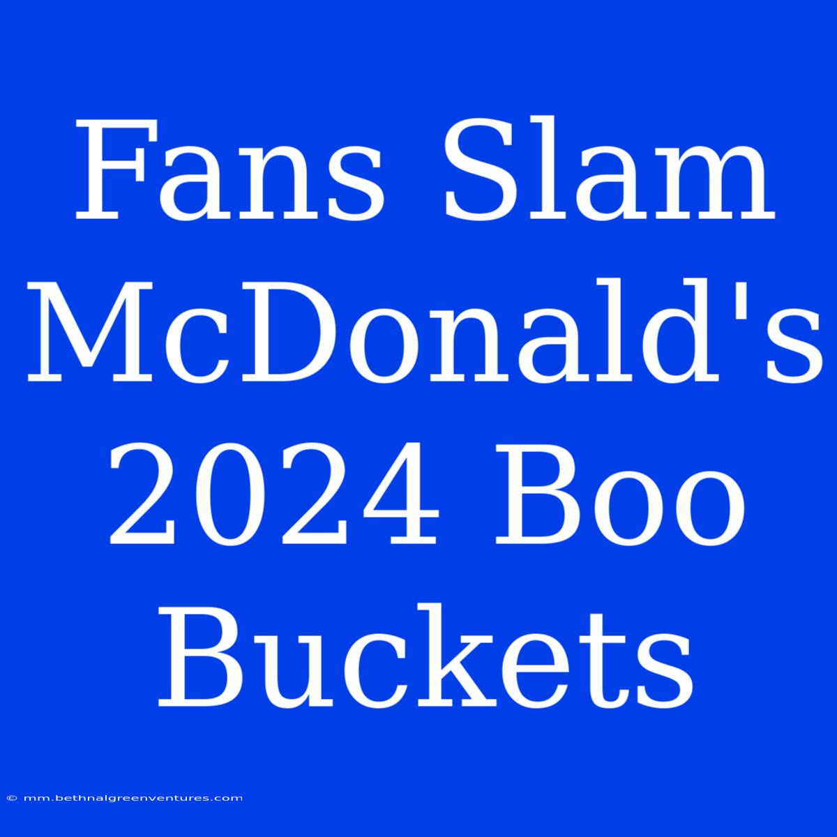 Fans Slam McDonald's 2024 Boo Buckets