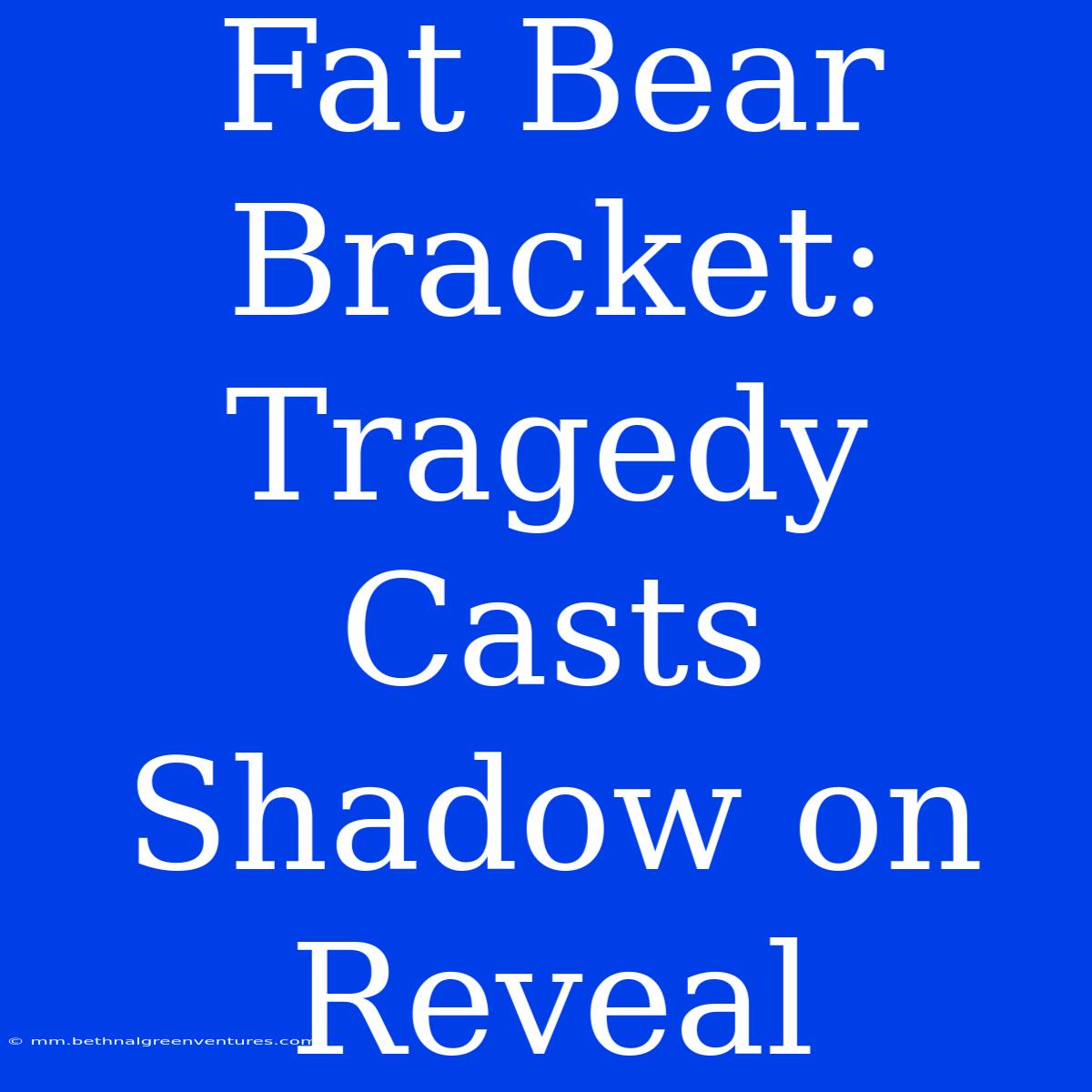 Fat Bear Bracket: Tragedy Casts Shadow On Reveal