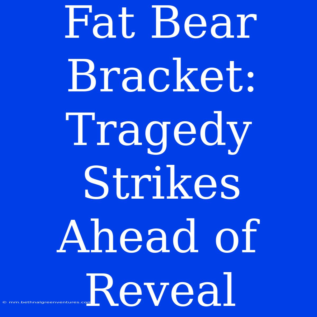 Fat Bear Bracket: Tragedy Strikes Ahead Of Reveal