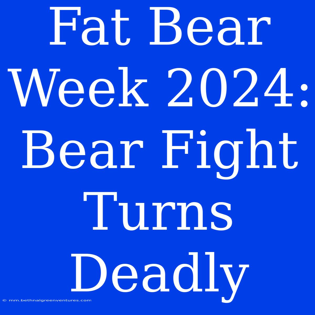 Fat Bear Week 2024: Bear Fight Turns Deadly