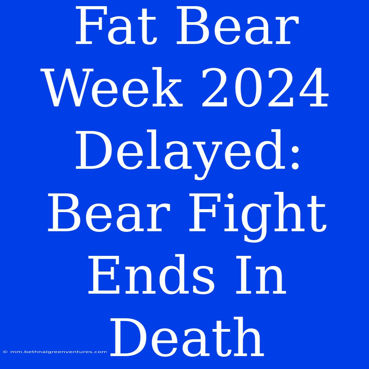 Fat Bear Week 2024 Delayed: Bear Fight Ends In Death