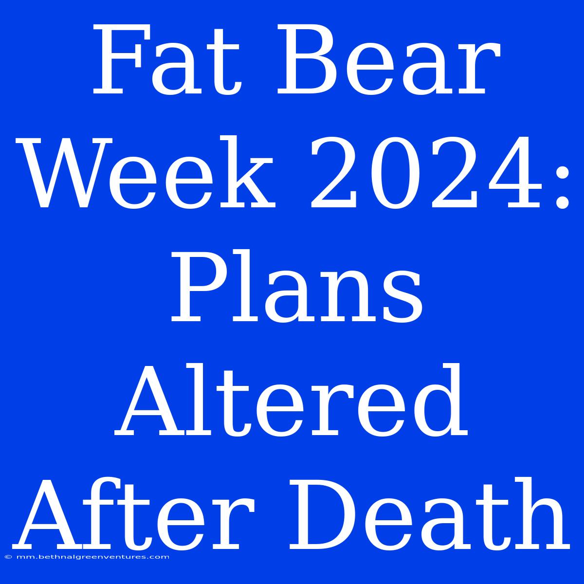 Fat Bear Week 2024: Plans Altered After Death