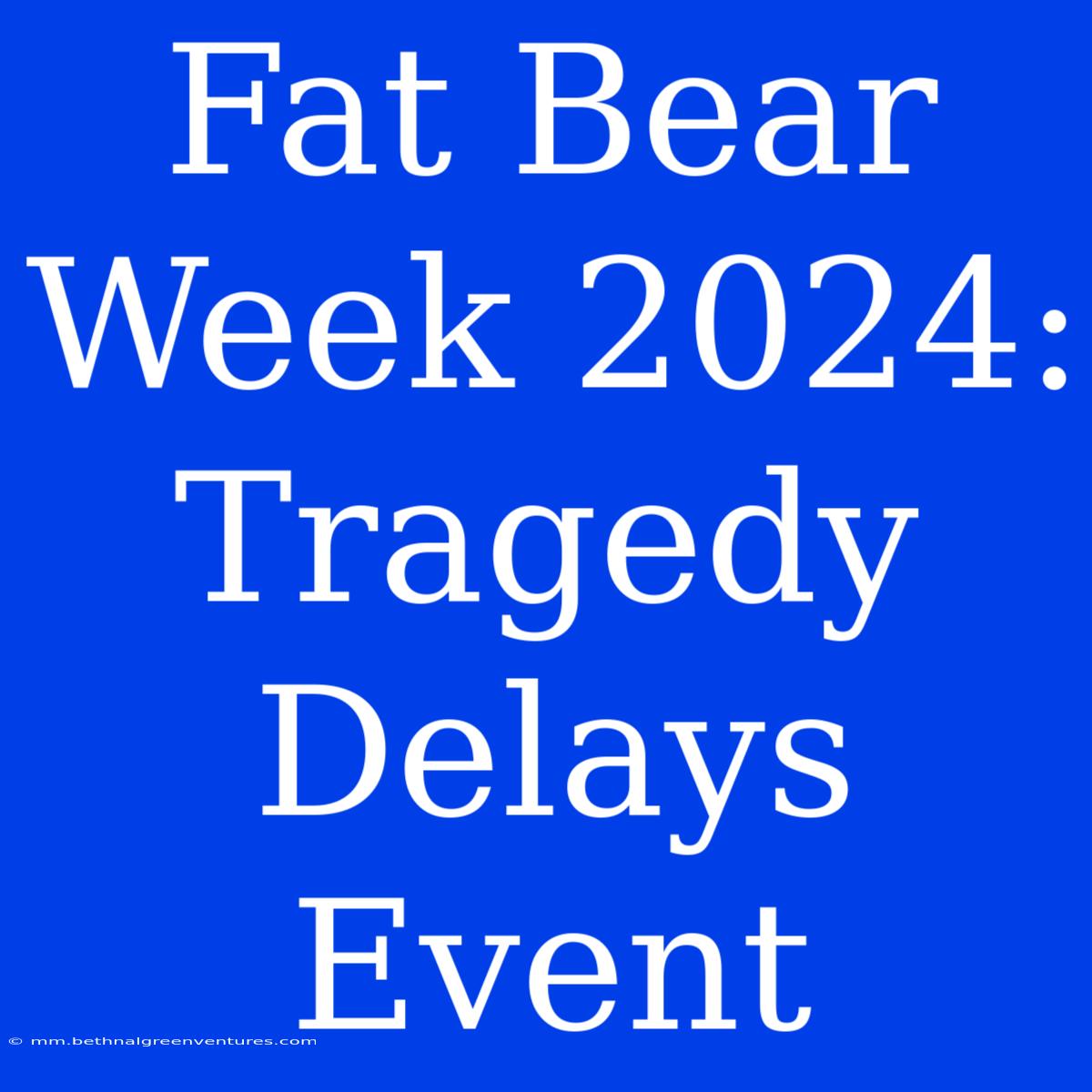 Fat Bear Week 2024: Tragedy Delays Event 