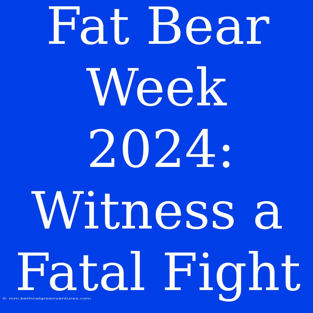 Fat Bear Week  2024: Witness A Fatal Fight