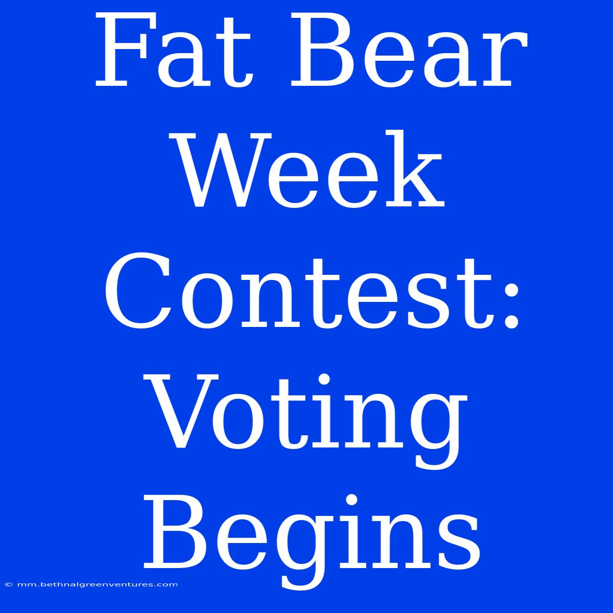 Fat Bear Week Contest: Voting Begins