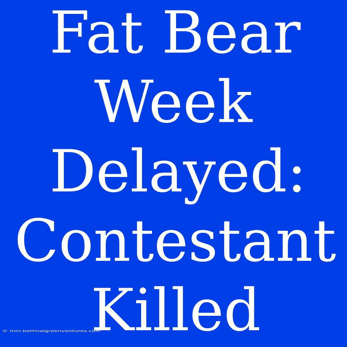 Fat Bear Week Delayed: Contestant Killed