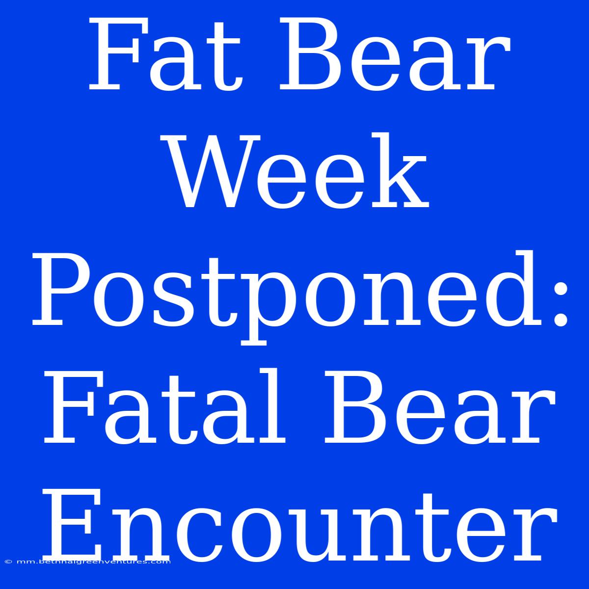 Fat Bear Week Postponed: Fatal Bear Encounter