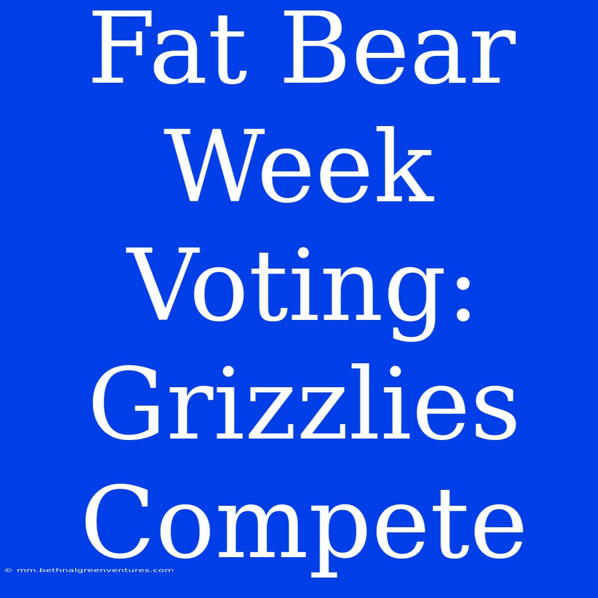 Fat Bear Week Voting: Grizzlies Compete