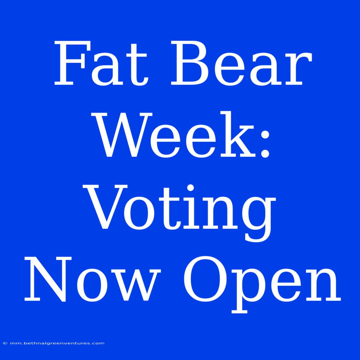 Fat Bear Week: Voting Now Open