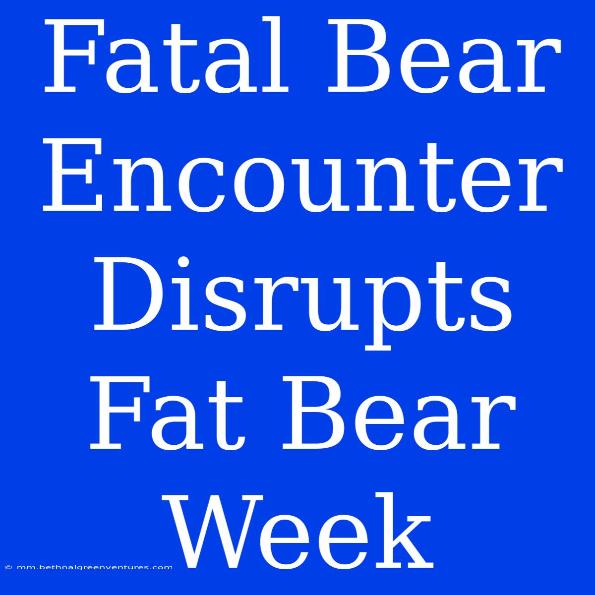 Fatal Bear Encounter Disrupts Fat Bear Week