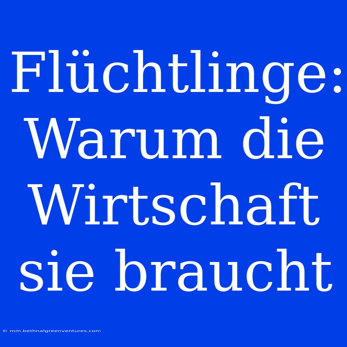 Flüchtlinge: Warum Die Wirtschaft Sie Braucht