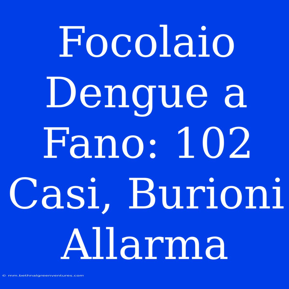 Focolaio Dengue A Fano: 102 Casi, Burioni Allarma