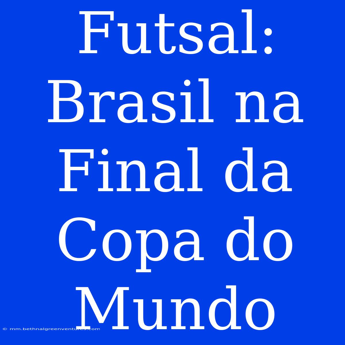 Futsal: Brasil Na Final Da Copa Do Mundo