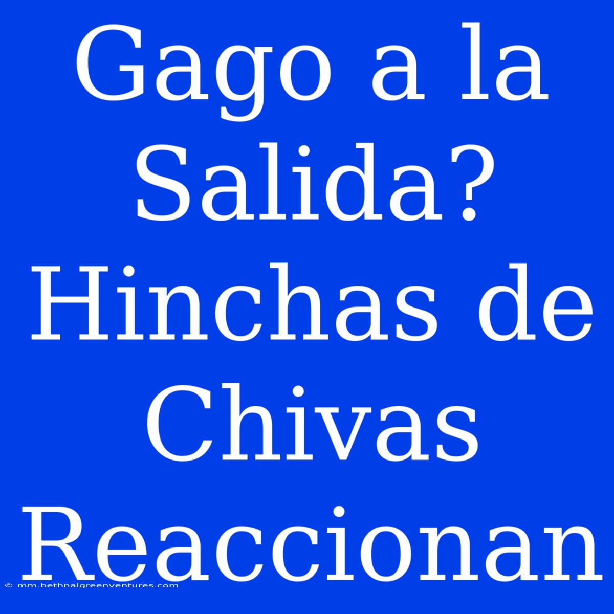 Gago A La Salida? Hinchas De Chivas Reaccionan