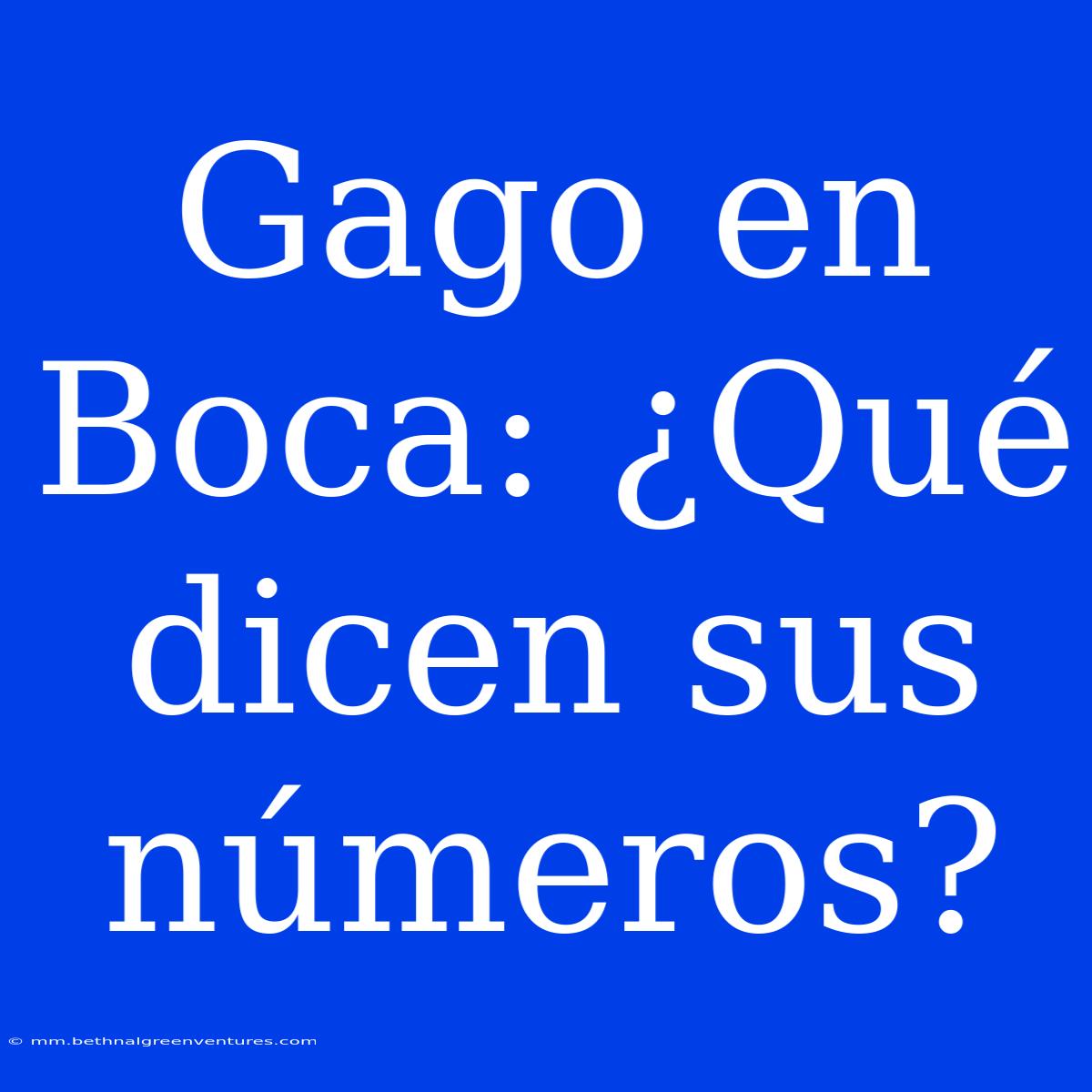 Gago En Boca: ¿Qué Dicen Sus Números?