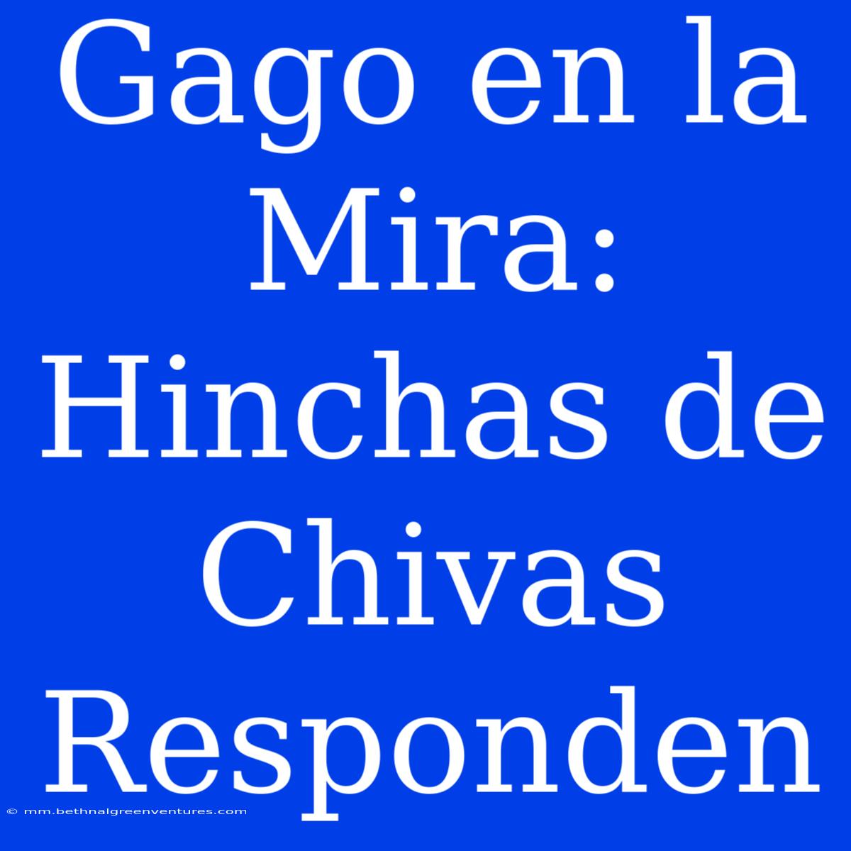 Gago En La Mira: Hinchas De Chivas Responden 