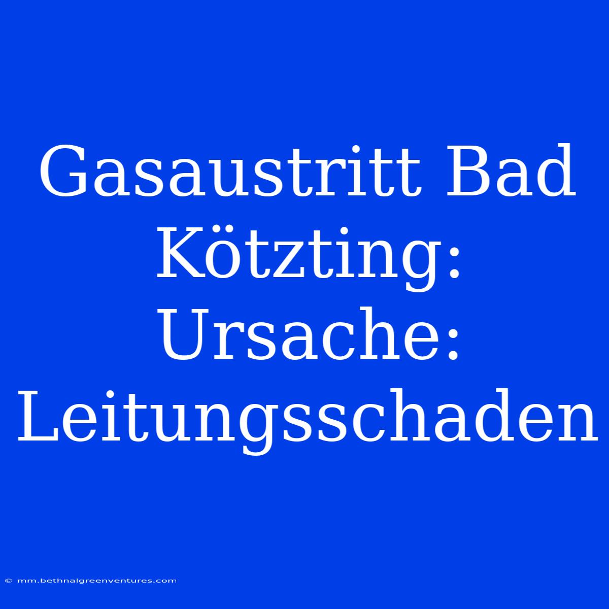 Gasaustritt Bad Kötzting: Ursache: Leitungsschaden