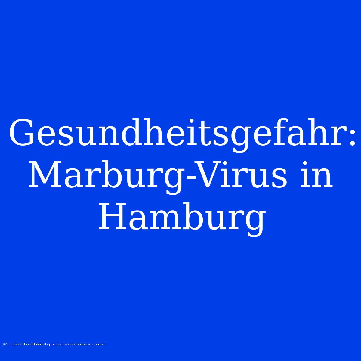 Gesundheitsgefahr: Marburg-Virus In Hamburg