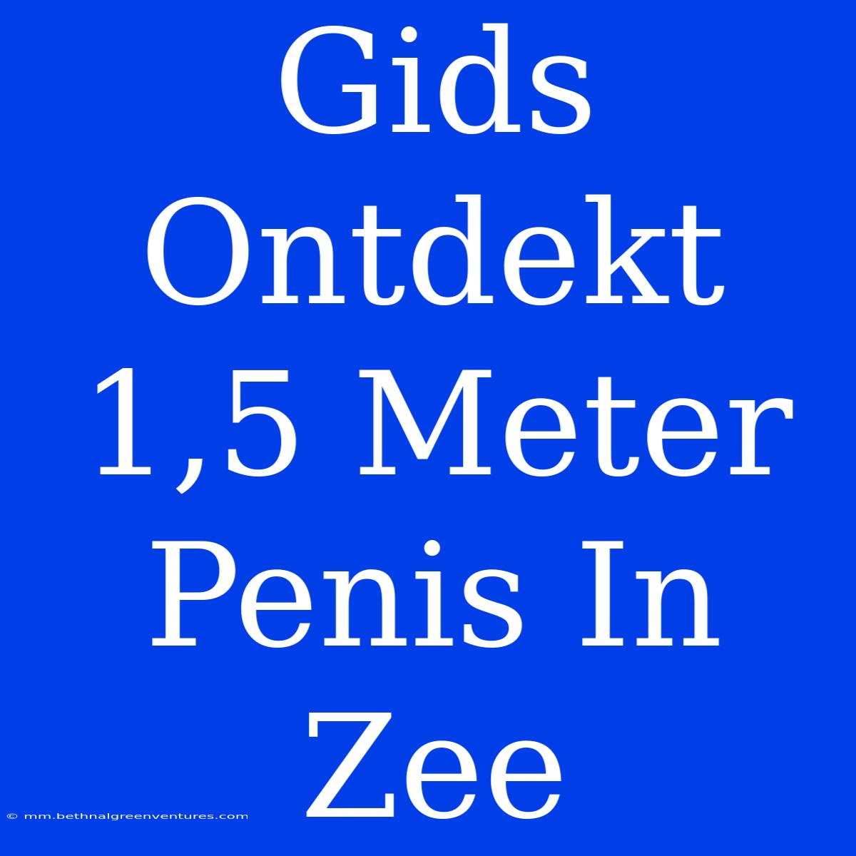 Gids Ontdekt 1,5 Meter Penis In Zee 