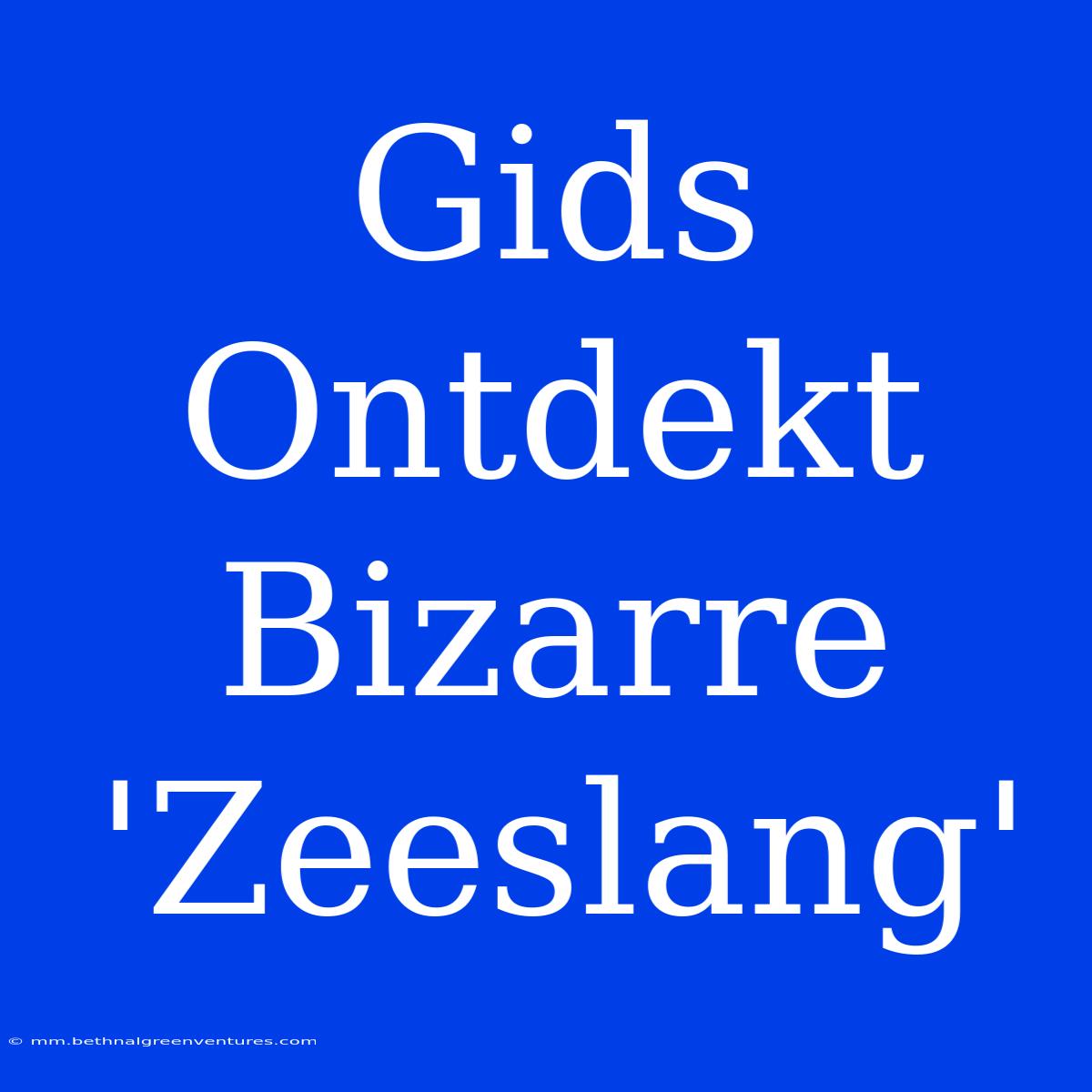 Gids Ontdekt Bizarre 'Zeeslang'