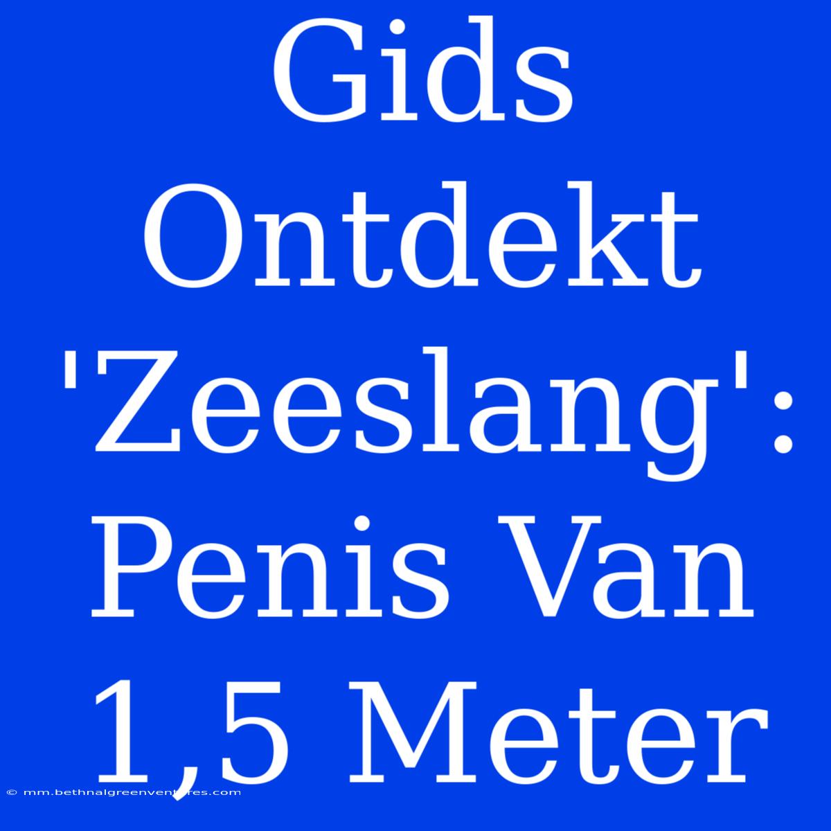 Gids Ontdekt 'Zeeslang': Penis Van 1,5 Meter