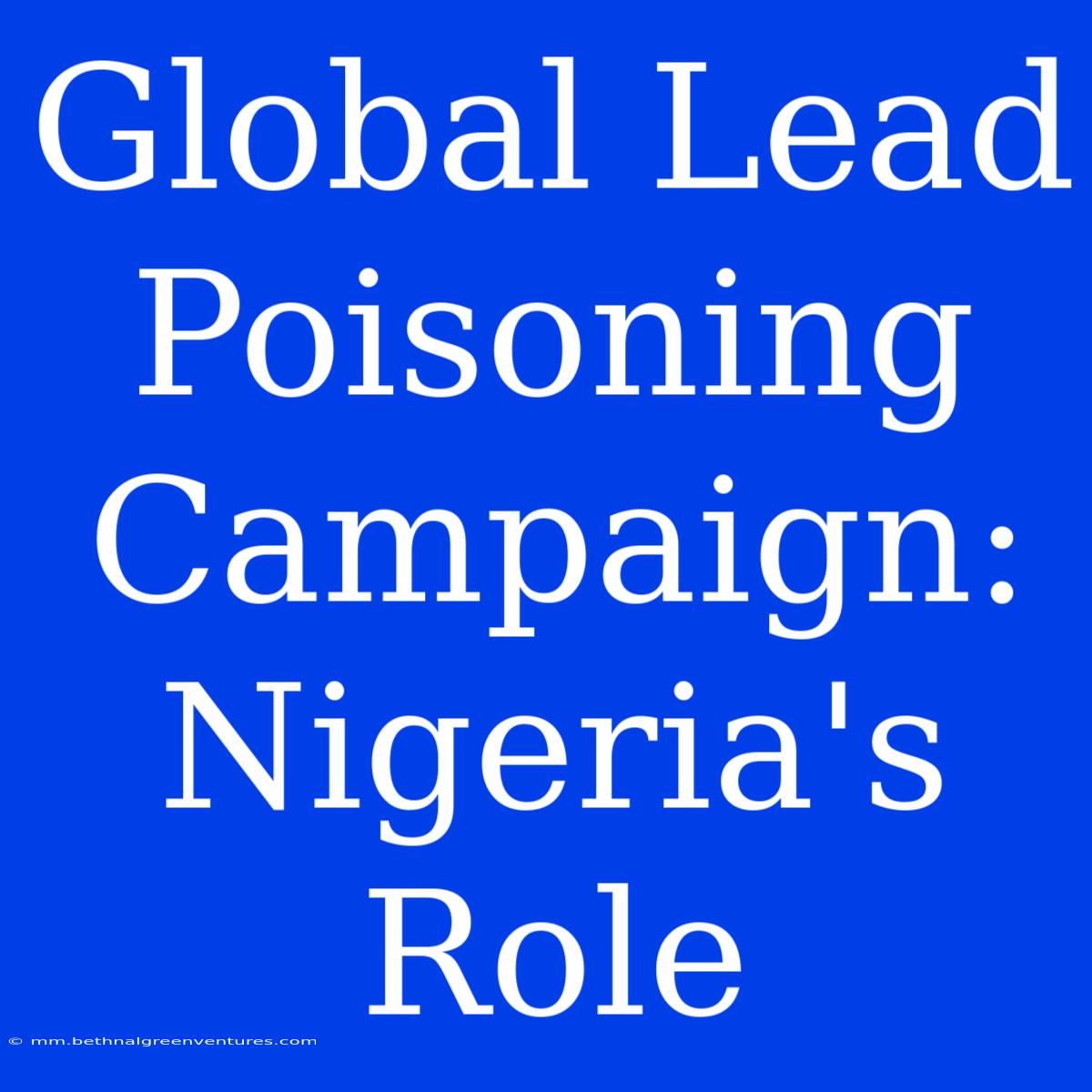 Global Lead Poisoning Campaign: Nigeria's Role