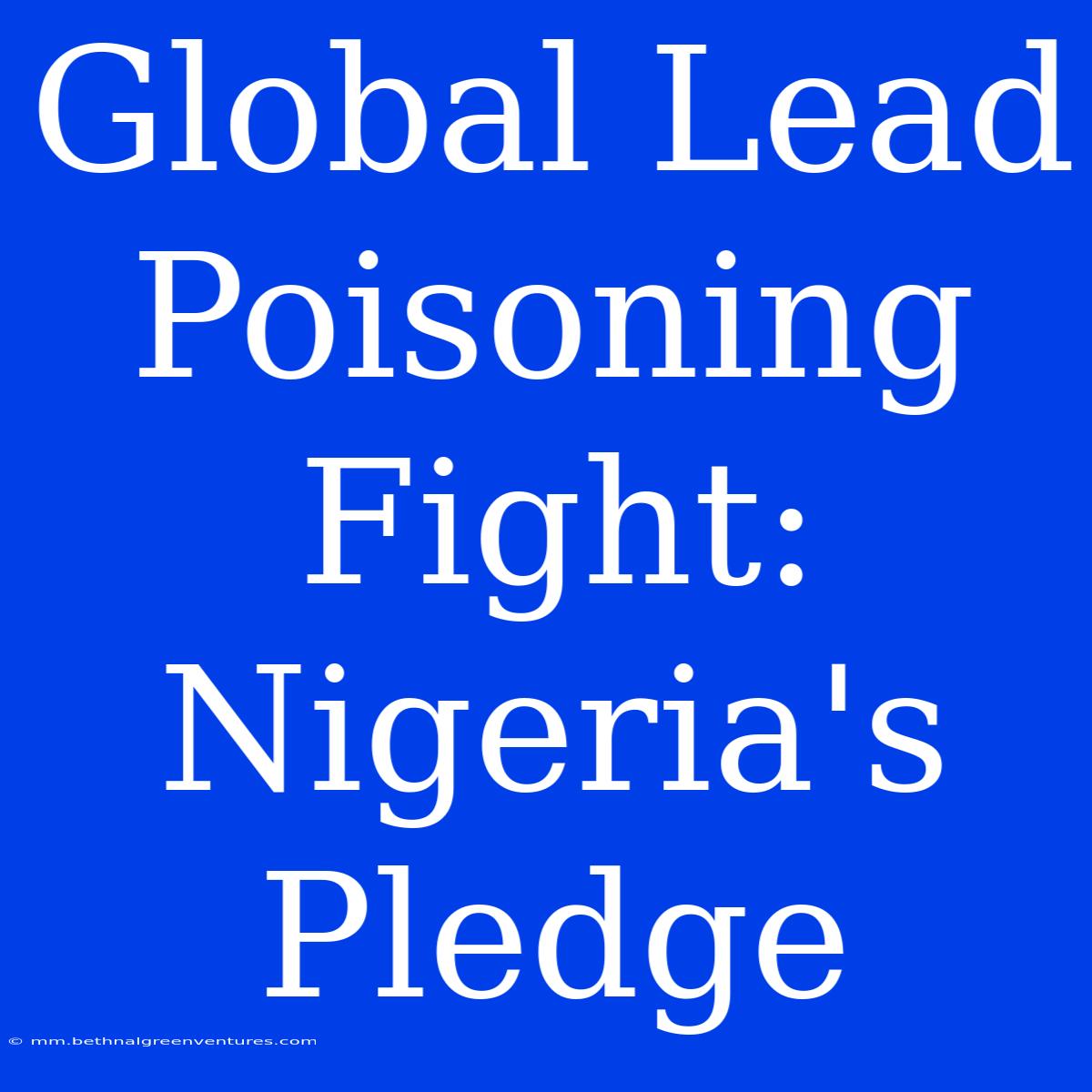 Global Lead Poisoning Fight: Nigeria's Pledge