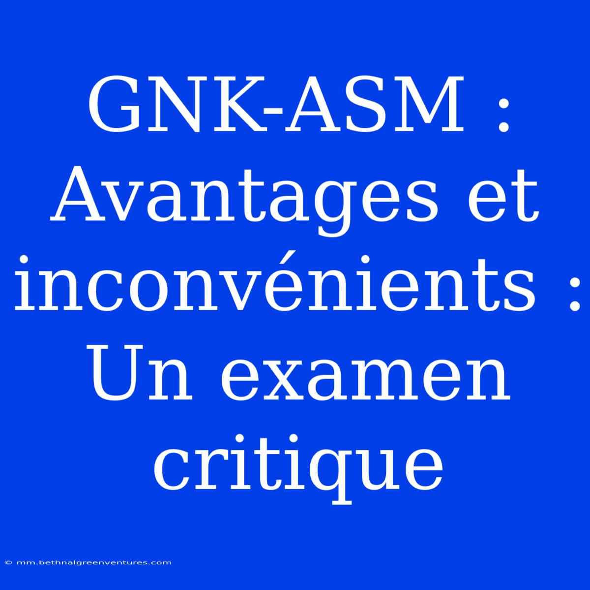 GNK-ASM : Avantages Et Inconvénients : Un Examen Critique