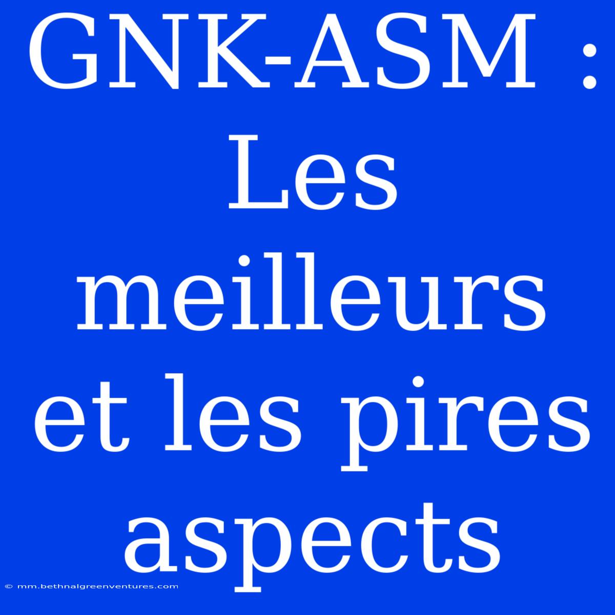 GNK-ASM : Les Meilleurs Et Les Pires Aspects