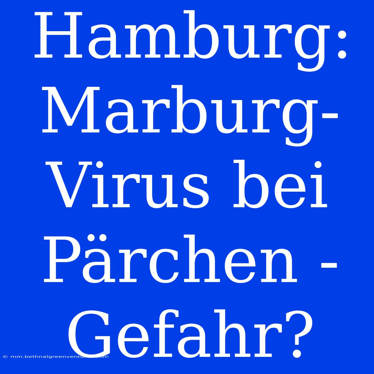 Hamburg: Marburg-Virus Bei Pärchen - Gefahr? 