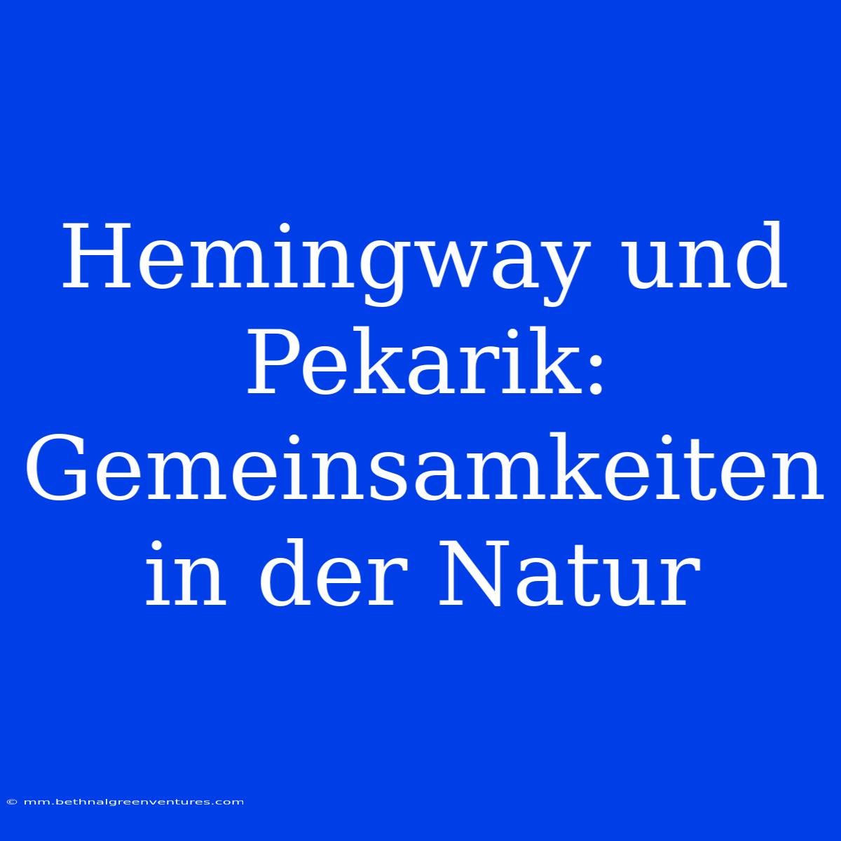 Hemingway Und Pekarik: Gemeinsamkeiten In Der Natur 