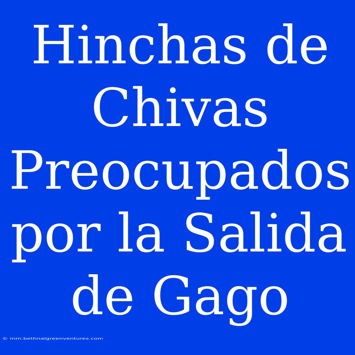 Hinchas De Chivas Preocupados Por La Salida De Gago 