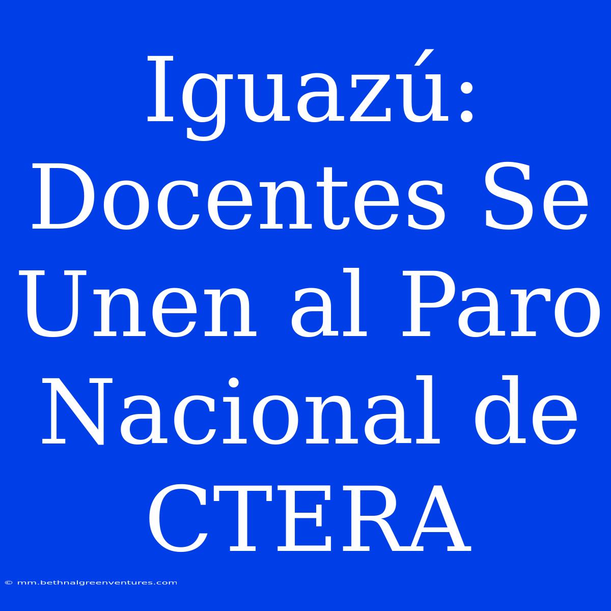 Iguazú: Docentes Se Unen Al Paro Nacional De CTERA