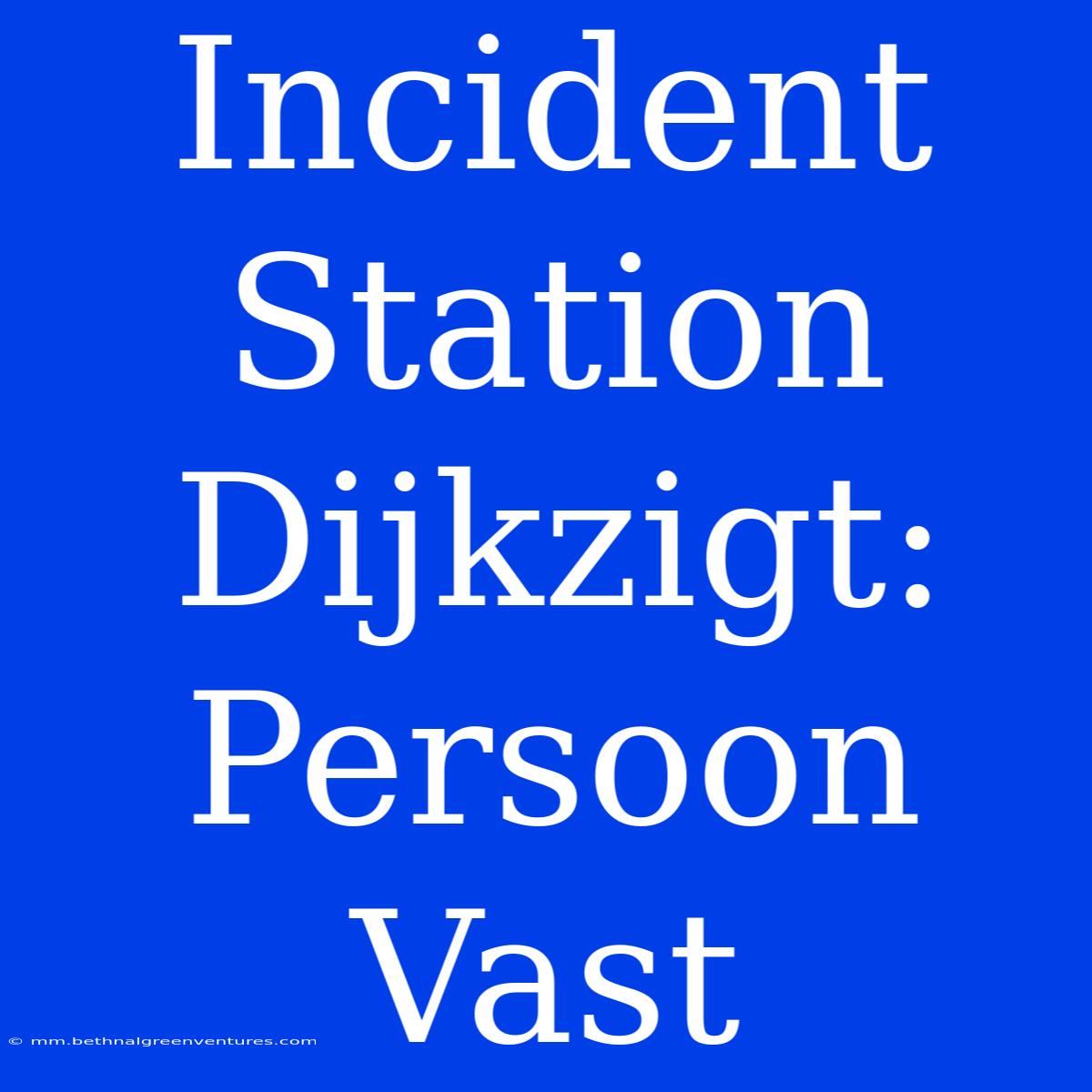 Incident Station Dijkzigt: Persoon Vast