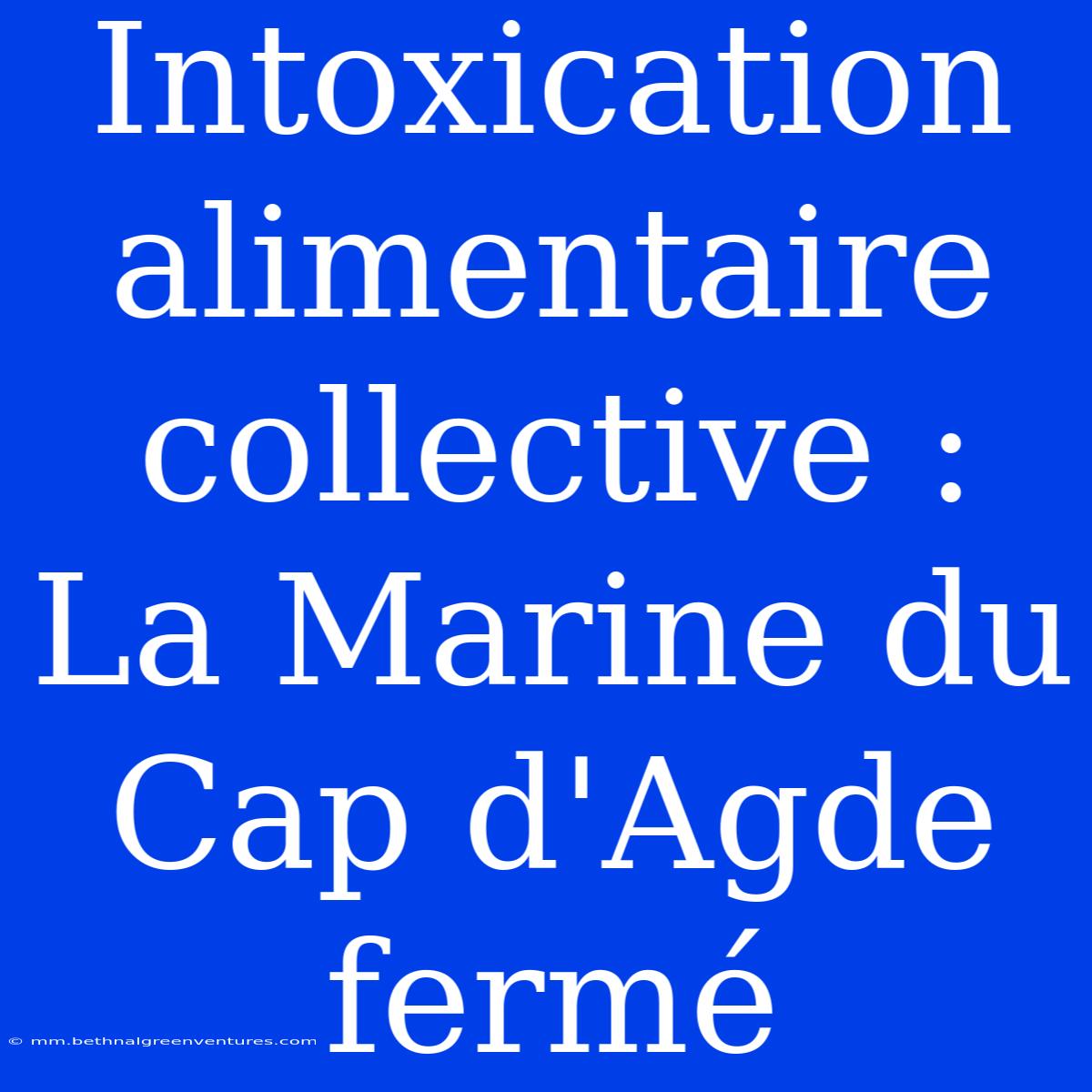 Intoxication Alimentaire Collective : La Marine Du Cap D'Agde Fermé 