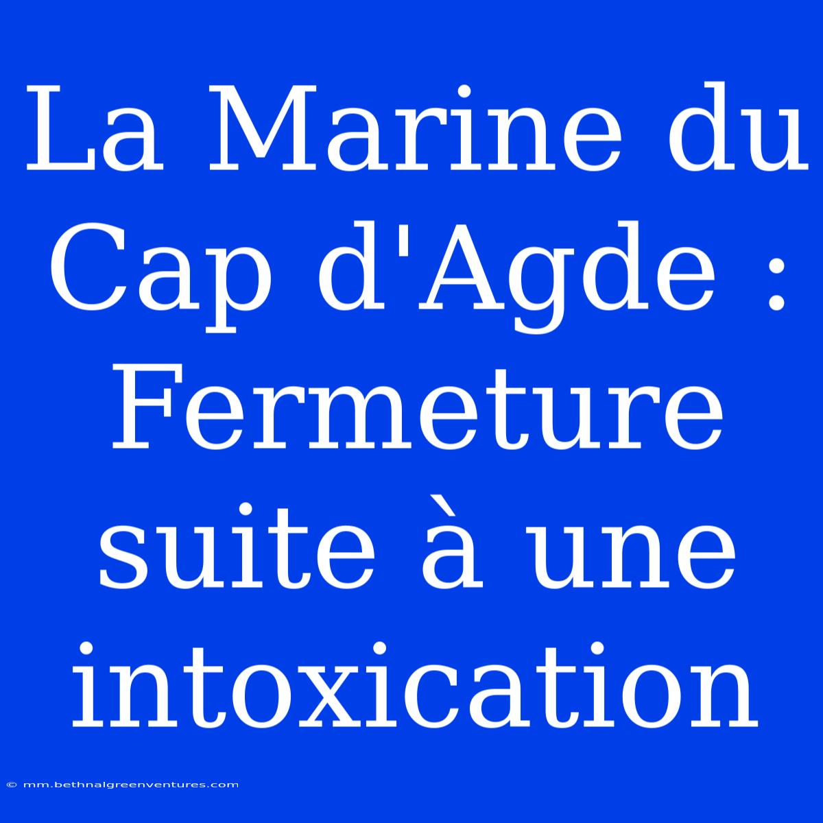 La Marine Du Cap D'Agde : Fermeture Suite À Une Intoxication