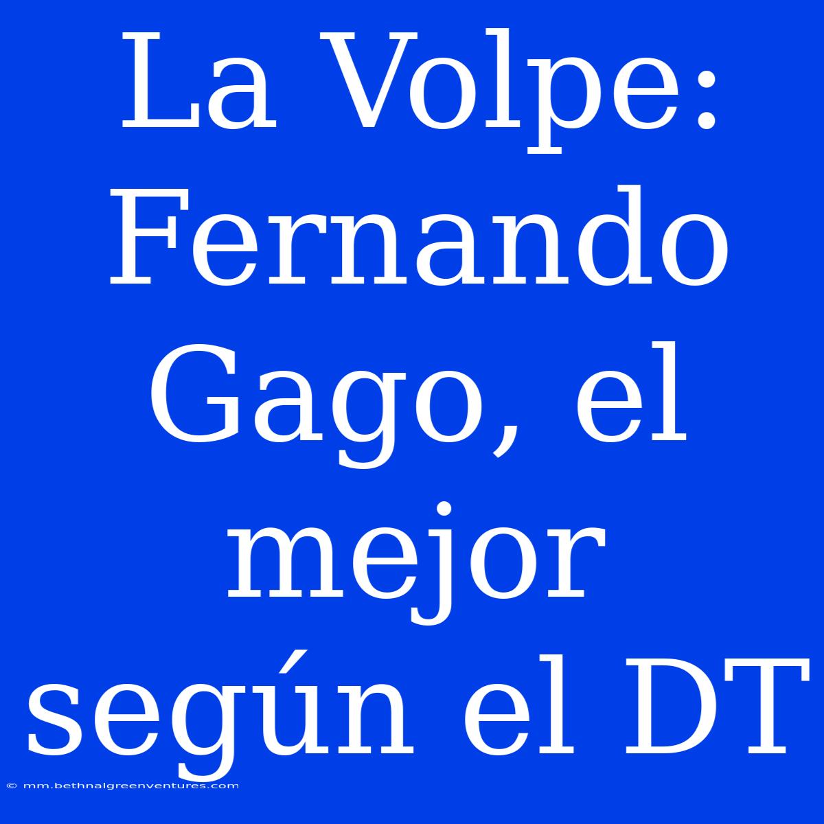 La Volpe: Fernando Gago, El Mejor Según El DT