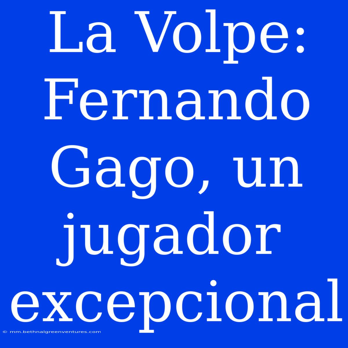 La Volpe: Fernando Gago, Un Jugador Excepcional