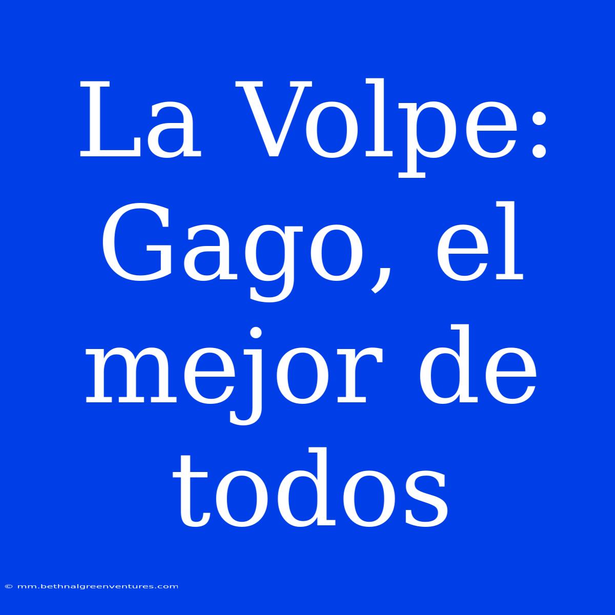 La Volpe: Gago, El Mejor De Todos