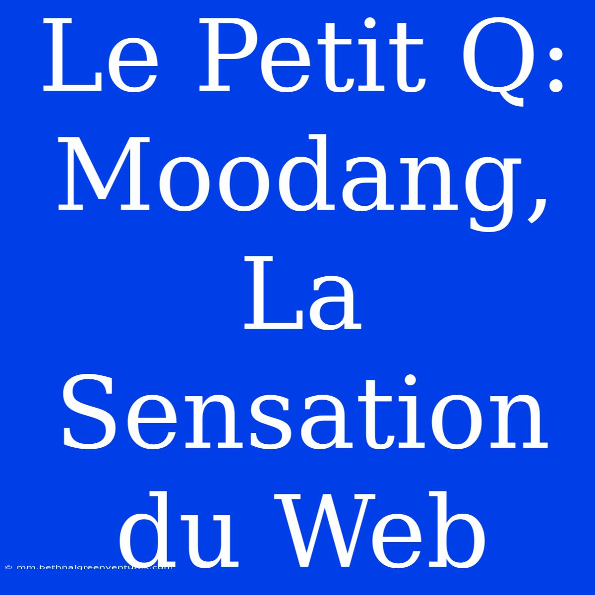 Le Petit Q: Moodang, La Sensation Du Web