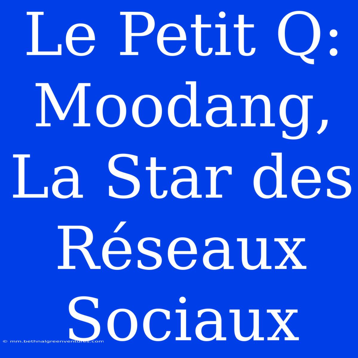 Le Petit Q: Moodang, La Star Des Réseaux Sociaux