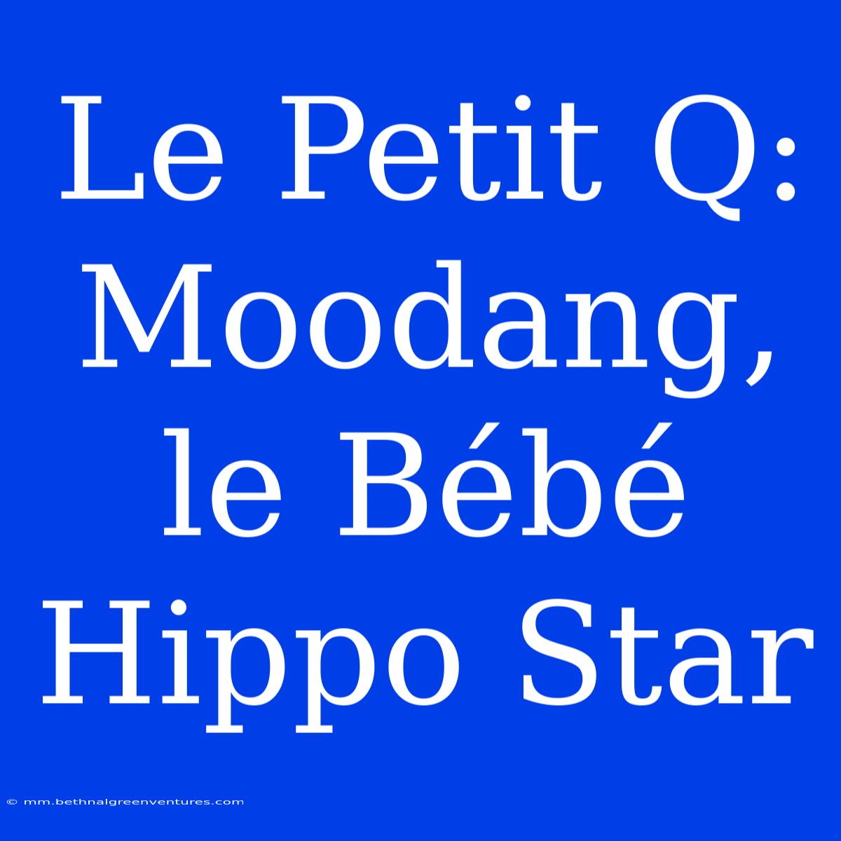 Le Petit Q: Moodang, Le Bébé Hippo Star